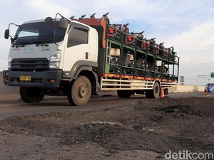 Tarif Tol Naik Terus, Jalanan Kok Masih Banyak yang Berlubang?