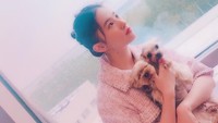 Beberapa waktu lalu, dia menampilkan potretnya dengan memeluk anjing. (Foto: dok. Instagram @yifei_cc)