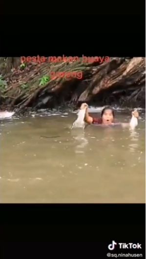 Sangar! Aksi Wanita Berburu Buaya untuk Digoreng dan Dimakan