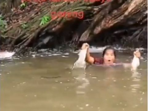 Sangar! Aksi Wanita Berburu Buaya untuk Digoreng dan Dimakan