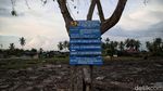 Nyata! Ancaman Abrasi di Pantai Jawa dan Sumatera