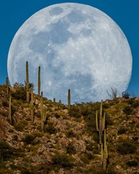 foto bulan