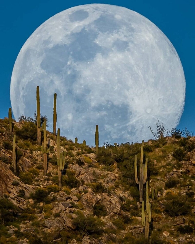 foto bulan