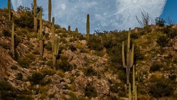 Beberapa orang mengatakan foto-foto hasil jepretannya palsu atau editan menggunakan Photoshop. Cooley tentu saja gemas dengan komentar-komentar seperti itu. Foto: Zachcooleyphoto via Bored Panda