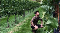 You can’t buy happiness but you can buy Wine, and thats kind of the same thing.... tulisnya saat berkunjung ke salah satu kebun anggur di Canterbury. Foto: Instagram @joshua_march