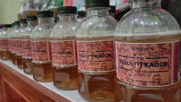Oleh-oleh khas Rupat.