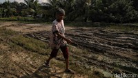 Mengutip dari Presiden Jokowi yaitu semakin bagus jalan atau infrastruktur di wilayah maka akan semakin maju juga pertumbuhan ekonomi di wilayah tersebut.