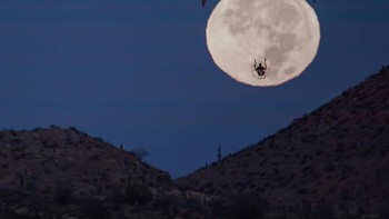 Inilah sebabnya, foto Bulan hasil jepretan Cooley bisa tampak sangat besar. Foto: Zachcooleyphoto via Bored Panda