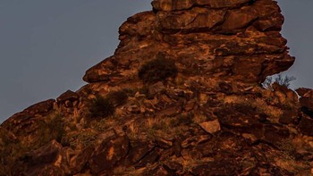 Tak hanya foto Mata Dewa itu yang menjadi viral di berbagai platform, foto-foto jepretannya yang lain juga menarik minat banyak orang untuk menjadikannya sebagai wallpaper. Foto: Zachcooleyphoto via Bored Panda
