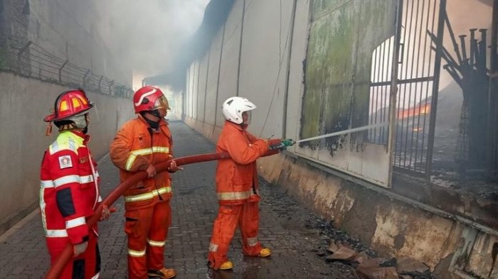 Aksi Petugas Damkar Padamkan Api di Pabrik Teh Batang Kebakaran hebat terjadi di pabrik teh di Batang, Jawa Tengah. Enam gudang di pabrik teh tersebut ludes terbakar berikut seluruh isinya.