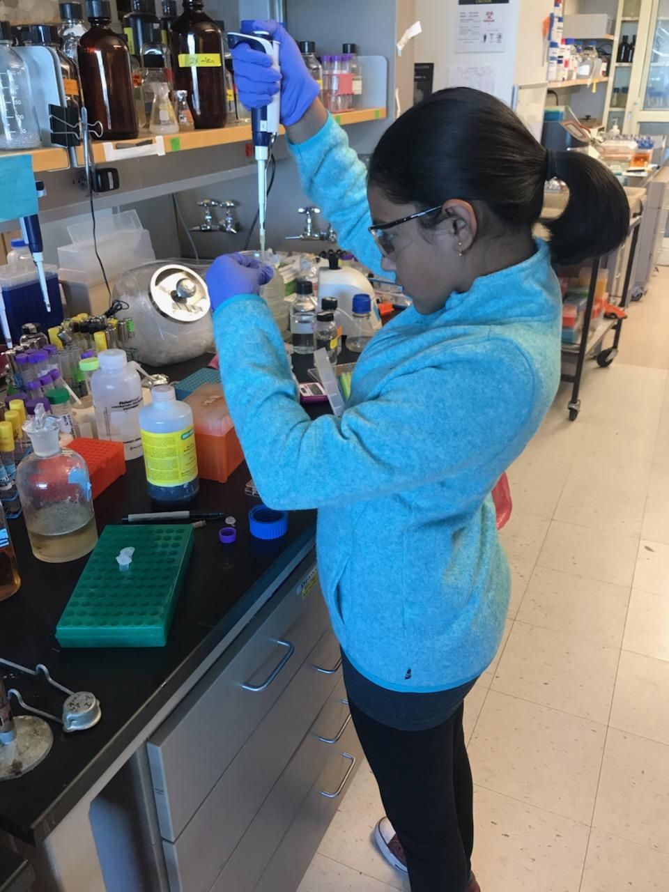 Gitanjali Rao Gitanjali Rao