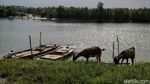 Ini Lho Transportasi Andalan Warga di Pulau Terluar Rupat