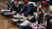 Tim KPK langsung mengamankan MJS, SN dan pihak-pihak lain di beberapa tempat di Jakarta untuk selanjutnya pihak-pihak yang diamankanbeserta uang dengan jumlah sekitar Rp14,5 Miliar dalam koper dan langsung dibawa ke KPK untuk pemeriksaan lebih lanjut. Foto: ANTARA FOTO/Hafidz Mubarak A