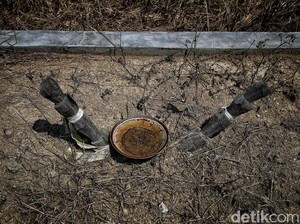 Ritual Bedekeh, Cara Suku Akit Menyembuhkan Penyakit di Rupat
