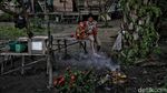 Menelusuri Jejak Sejarah Suku Asli di Pulau Rupat