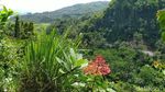 Puncak Batu Walet, Wisata Baru di Ciamis