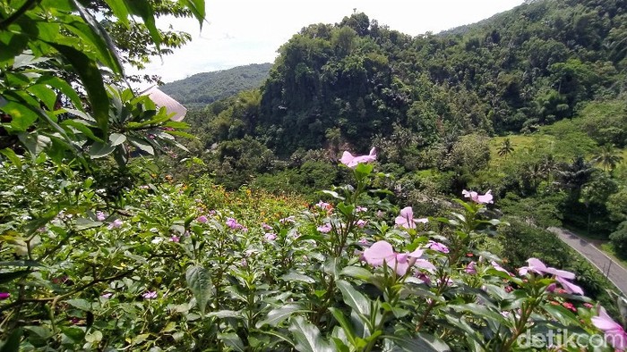 Puncak Batu Walet di Ciamis