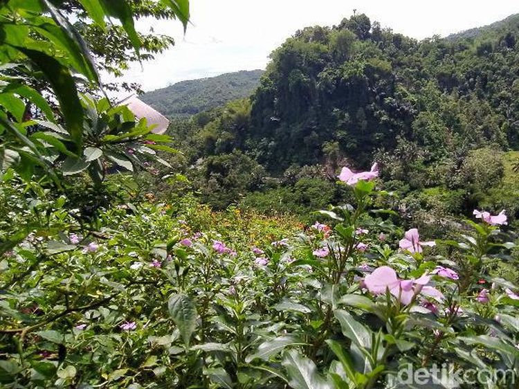 Puncak Batu Walet, Wisata Baru di Ciamis