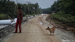 Saat Warga Bahu Membahu Perbaiki Jalan Rusak di Pulau Rupat