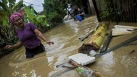 Menurut data BPBD Kabupaten Lebak sebanyak 174 rumah di delapan kecamatan di Lebak terendam banjir akibat sejumlah aliran sungai meluap karena hujan deras yang terus mengguyur sejak Sabtu (5/12) malam.