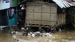 Banjir Mulai Rendam Permukiman di Sungai Ciliwung