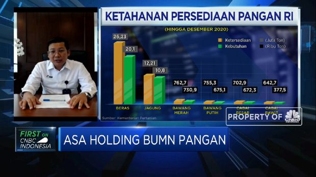 Bos RNI: Holding Pangan Ditargetkan Bisa Kurangi Impor Pangan(CNBC Indonesia TV)