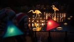 Festival Lampu Terangi Taman Botani Inggris