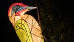 Festival Lampu Terangi Taman Botani Inggris
