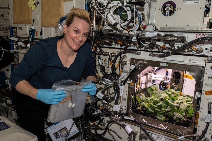 Keren! Astronot NASA Berhasil Tanam 20 Lobak Di Luar Angkasa