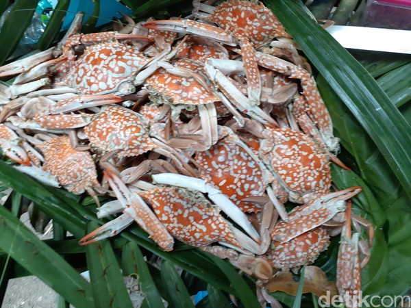 Selain lobster, kepiting bercapit panjang juga sangat mudah dijumpai di perairan Kampung Goras. Karena saking banyaknya dan mudah didapat, kepiting ini tidak dijual, hanya untuk dikonsumsi sendiri. 
