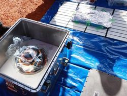 Momen Asteroid Purba Mendarat di Bumi