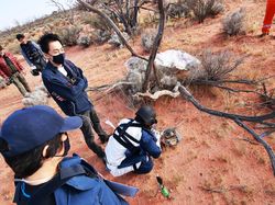Momen Asteroid Purba Mendarat di Bumi