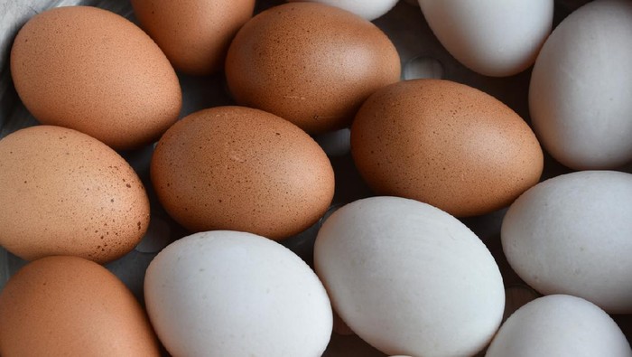 Telur Ayam vs Telur Bebek, Mana yang Lebih Bernutrisi?