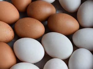 Telur Bebek Lebih Sehat dari Telur Ayam? 5 Alasan Ini Belum Banyak yang Tahu