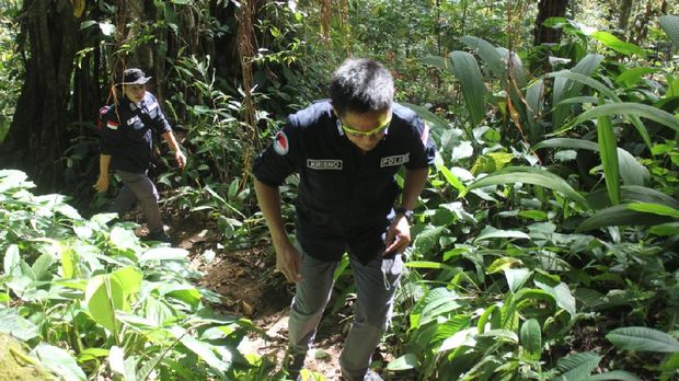 Bareskrim Polri memusnahkan 5 hektare ladang ganja di Mandailing Natal, Sumut (dok Istimewa)