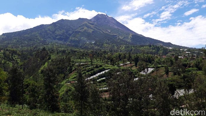 Cuaca cerah di Kecamatan Selo, Boyolali, membuat Gunung Merapi tampak jelas dari kaki sampai puncaknya. Begini keindahan Gunung Merapi yang kini berstatus Siaga.