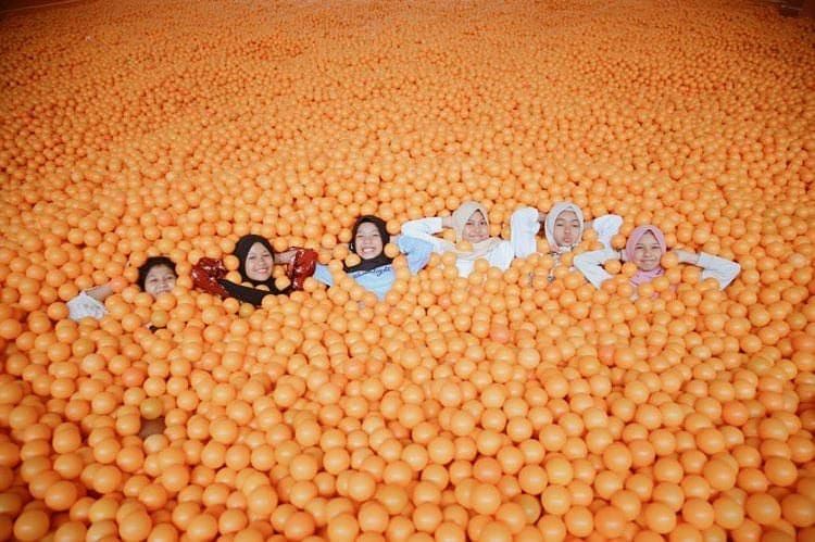 Centrum Million Balls