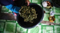 Ia pun mengatakan sebelum menjajal usaha olahan daun ubi ini, Ernawati adalah seorang pembantu rumah tangga yang bekerja di sebuah rumah. Kemudian Ernawati mencoba peruntungannya dalam usaha martabak dan mie ayam. Kini, ia menggantungkan nasib di usaha olahan dendeng ubi.