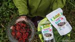 Emak-emak Ini Jual Dendeng Daun Ubi Hingga ke Abu Dhabi