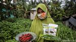 Emak-emak Ini Jual Dendeng Daun Ubi Hingga ke Abu Dhabi
