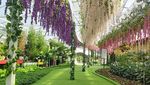 Potret 10 Wisata Alam hingga Instagramable di Malang dan Sekitarnya