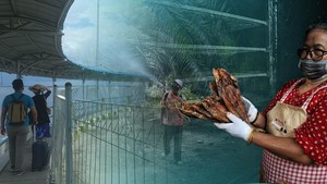 Wisata Rupat, Malaysia dari Riau