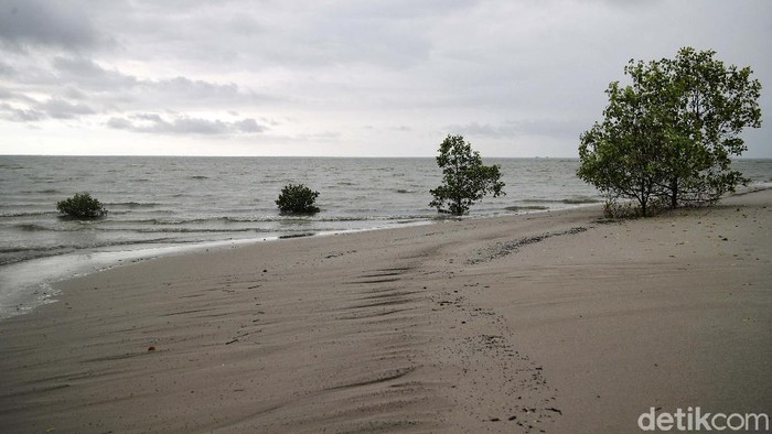 Ini Dia Destinasi Wisata Andalan Pulau Rupat, Pantai Beting Aceh Pulau Rupat di Kabupaten Bengkalis menjadi salah satu pulau terluar Indonesia. Pulau Rupat diberkahi dengan pantai indah. Pantai Beting Aceh salah satunya.