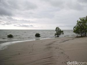 Walhi: Banyak Pulau dan Pesisir Tenggelam, Batas Wilayah RI Bisa Berkurang