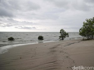 Rawan Dicaplok, Ratusan Pulau Kecil Terluar RI Mau Disertifikasi