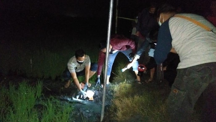 jebakan tikus listrik