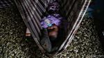 Menelusuri Kampung Jawa di Tanah Melayu Rupat