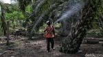 Menelusuri Kampung Jawa di Tanah Melayu Rupat