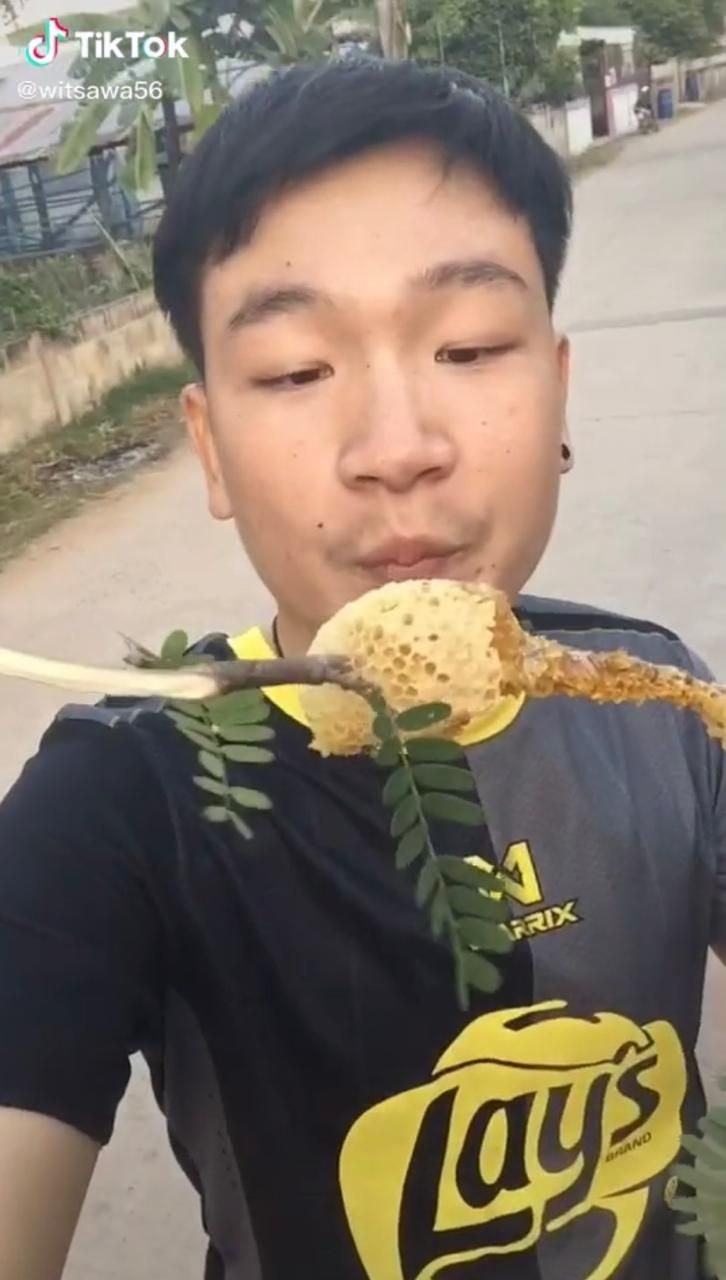 Ngakak! Makan Madu dari Sarangnya, Bibir Pria Ini Jadi Jontor