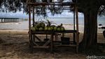 Pantai Lapin Rupat yang Indah, Sayang Kurang Terawat
